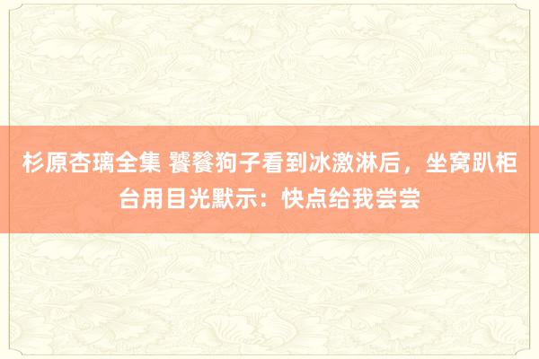 杉原杏璃全集 饕餮狗子看到冰激淋后，坐窝趴柜台用目光默示：快点给我尝尝