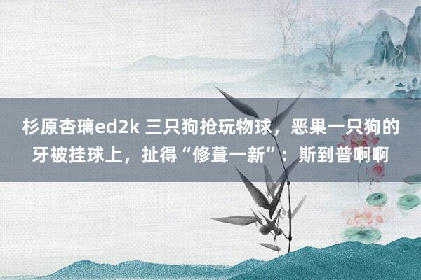 杉原杏璃ed2k 三只狗抢玩物球，恶果一只狗的牙被挂球上，扯得“修葺一新”：斯到普啊啊