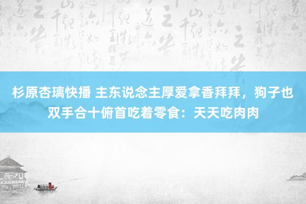 杉原杏璃快播 主东说念主厚爱拿香拜拜，狗子也双手合十俯首吃着零食：天天吃肉肉