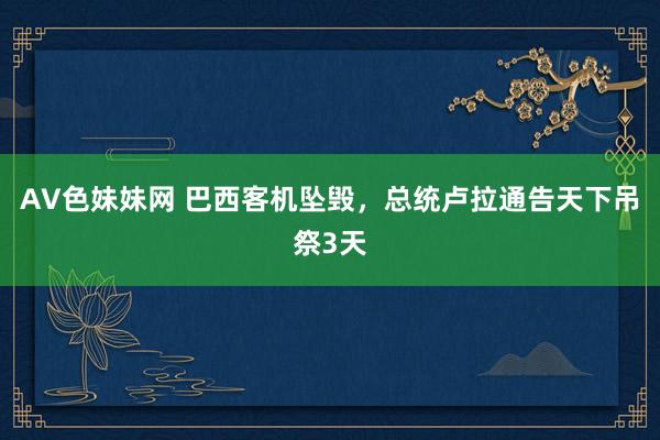 AV色妹妹网 巴西客机坠毁，总统卢拉通告天下吊祭3天