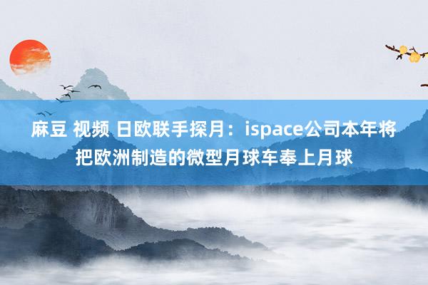 麻豆 视频 日欧联手探月：ispace公司本年将把欧洲制造的微型月球车奉上月球