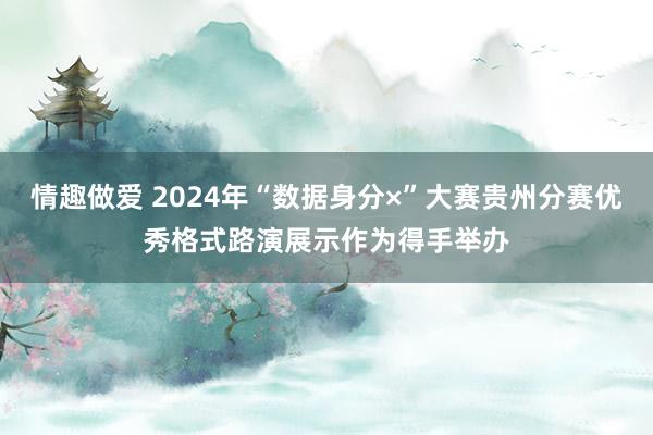 情趣做爱 2024年“数据身分×”大赛贵州分赛优秀格式路演展示作为得手举办