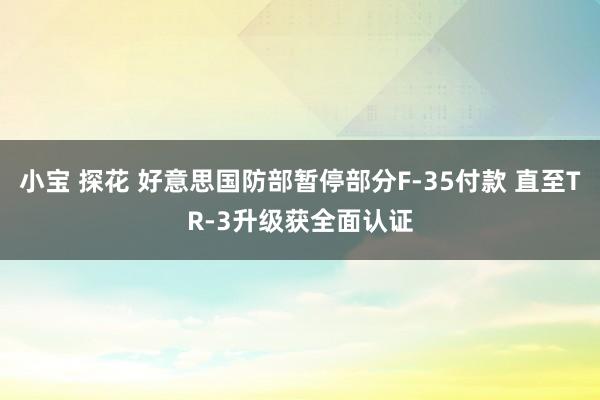 小宝 探花 好意思国防部暂停部分F-35付款 直至TR-3升级获全面认证