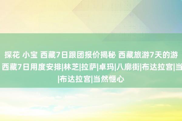 探花 小宝 西藏7日跟团报价揭秘 西藏旅游7天的游玩攻略 西藏7日用度安排|林芝|拉萨|卓玛|八廓街|布达拉宫|当然惬心