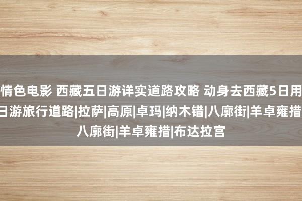 情色电影 西藏五日游详实道路攻略 动身去西藏5日用度 西藏5日游旅行道路|拉萨|高原|卓玛|纳木错|八廓街|羊卓雍措|布达拉宫