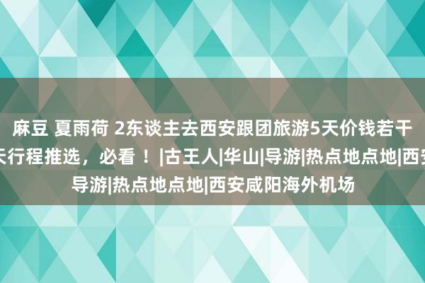 麻豆 夏雨荷 2东谈主去西安跟团旅游5天价钱若干，西安旅游五天行程推选，必看 ！|古王人|华山|导游|热点地点地|西安咸阳海外机场