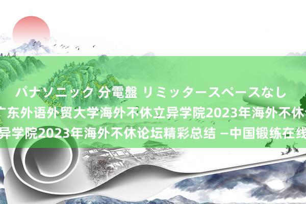 パナソニック 分電盤 リミッタースペースなし 露出・半埋込両用形 广东外语外贸大学海外不休立异学院2023年海外不休论坛精彩总结 —中国锻练在线